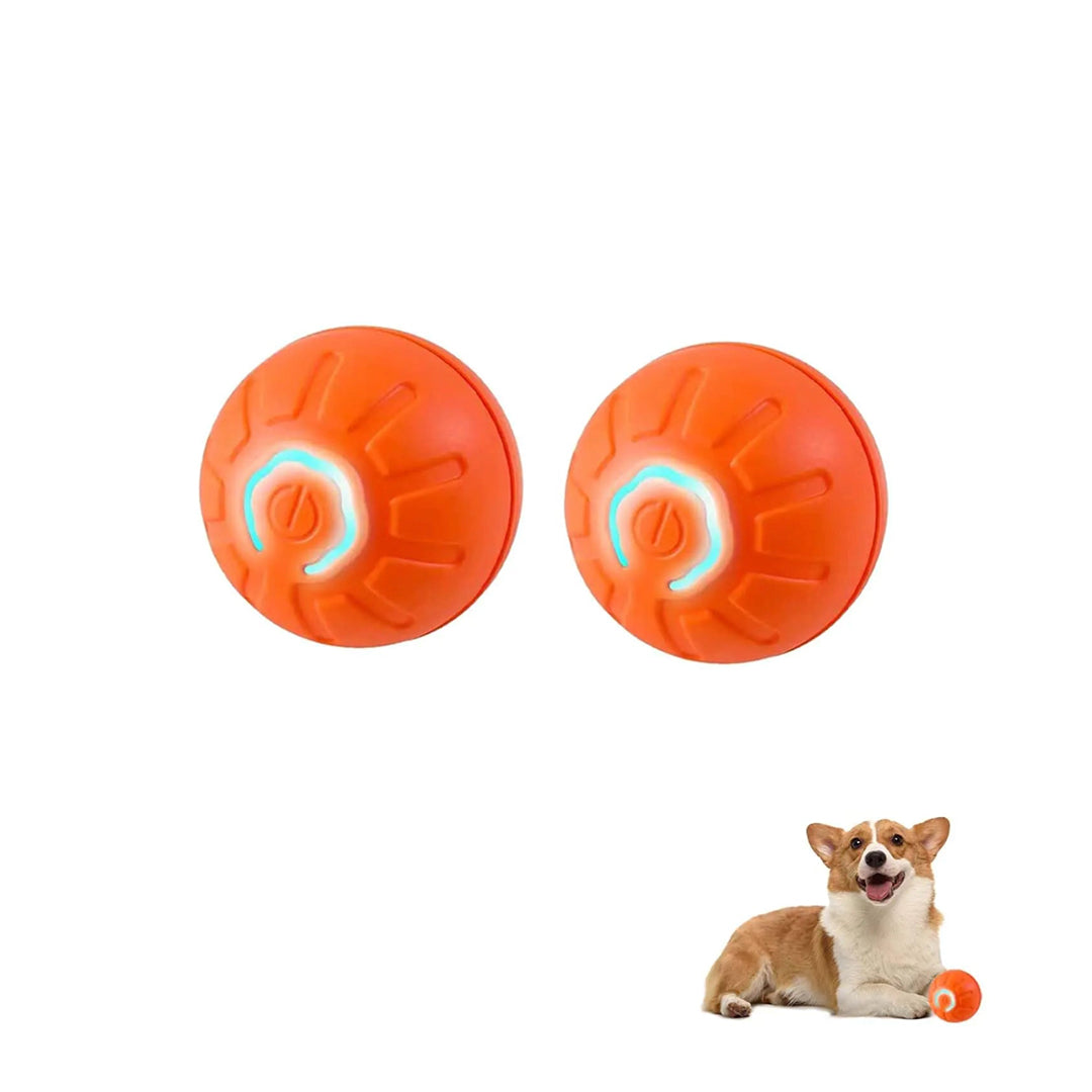 Shaky Ball Toy for Dogs