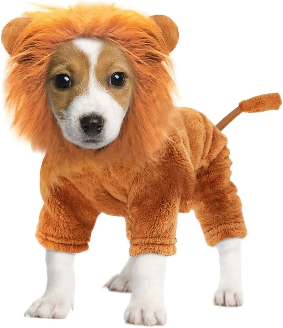 Pet Costume Lion Cosplay